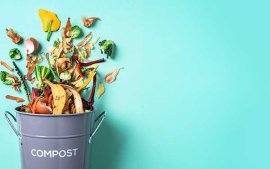 compost bin and food scraps