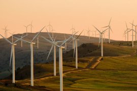 Windmill farm producing renewable energy