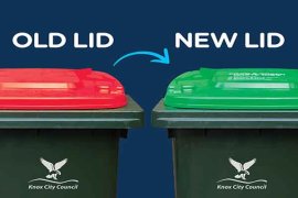 food and garden bin lid change from red to green