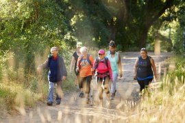 Group of people walking