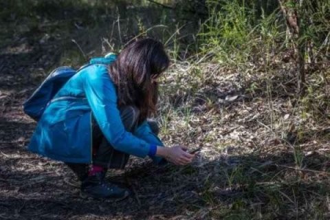 A person taking a photo of a plant. Photograph courtesy of Richard Kelly.