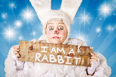 Person in rabbit costume and holding sign saying 'I am a rabbit'